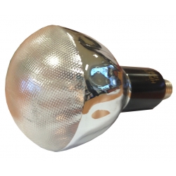 Light Bulb HPR